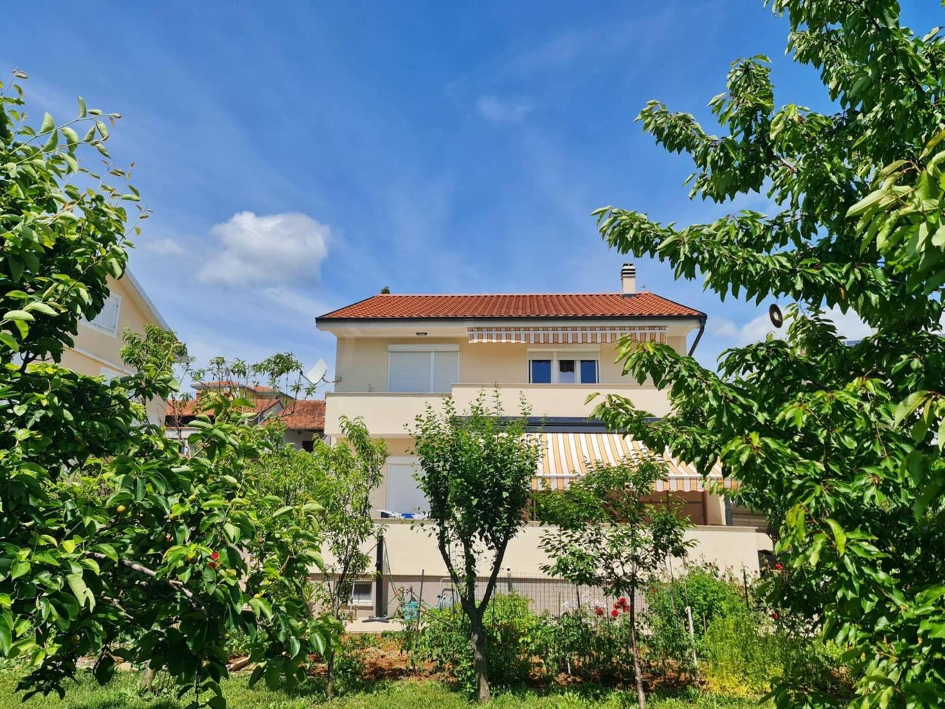 Apartments Citkovic Чижичи Экстерьер фото